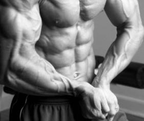 forearm, forearms, forearm muscles