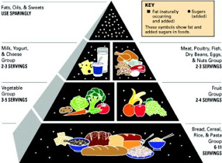 Food Pyramid