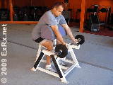 preacher curls