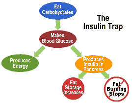 insulin, blood sugar, insulin function, insulin diagram, fat storage, fat loss, carbs, insulin trap