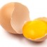 The Amazing Egg Yolk