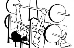 How To: Bench Press