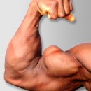 The 5 Best Biceps Exercises