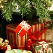 Days 4-12 — The 12 Days of Holiday Fitness Gifts
