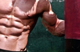 The Step-By-Step Blueprint to Six Pack Abs