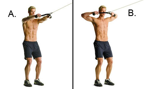 shoulder workout, shoulder workouts, should workout plan, deltoid workout, deltoid workout plan, shoulder workout routine, shoulders workout, shoulder exercises