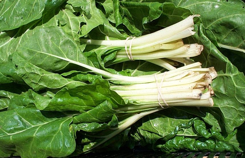 Swiss Chard swiss chard, swiss chard nutrition, swiss chard nutrition facts, swiss chard vitamin K