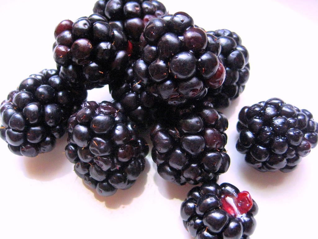 blackberries, blackberry, blackberry nutrition facts