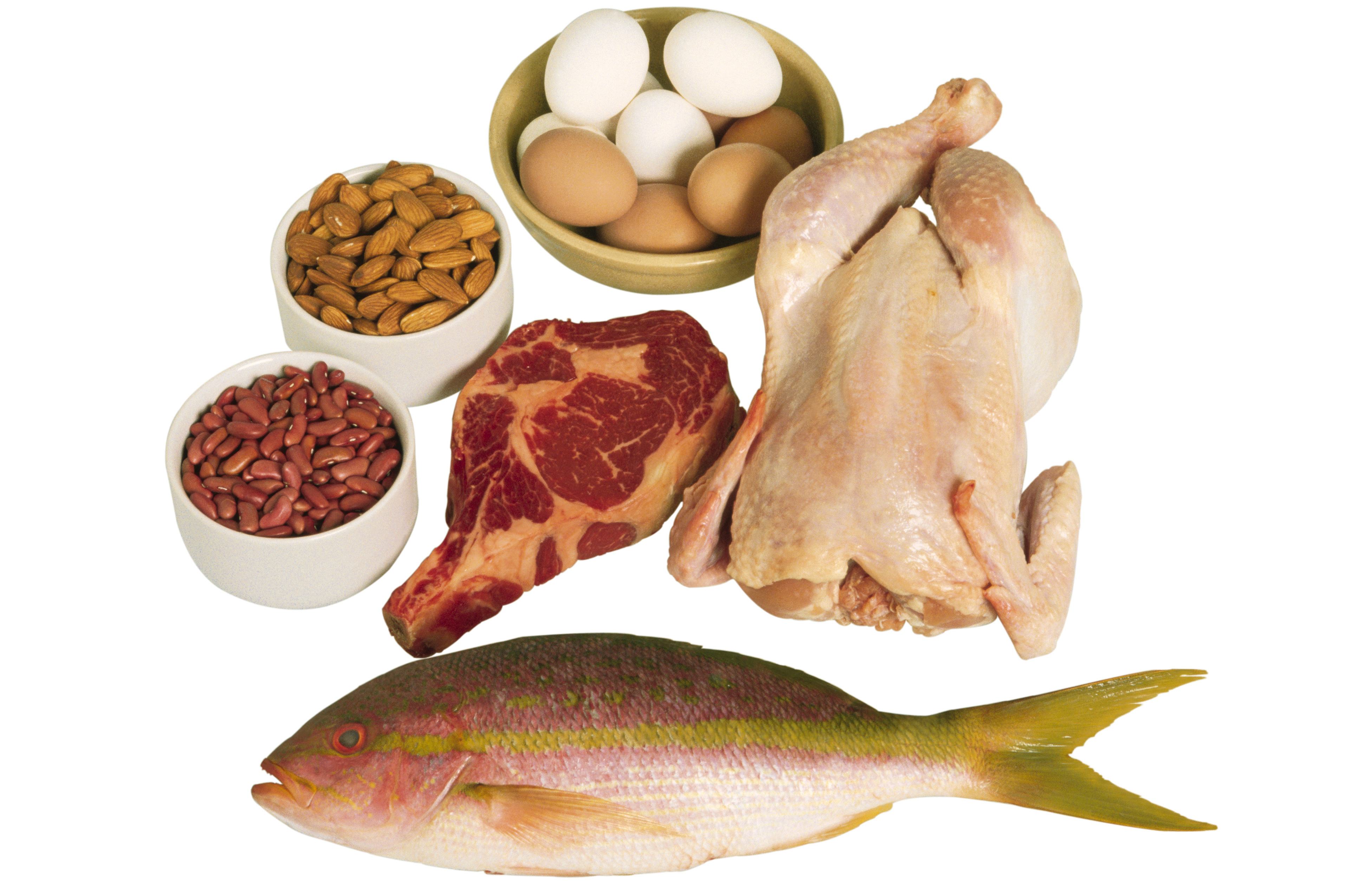 calories to build muscle, nutrition to build muscle, diet to build muscle, foods to build muscle, how to build lean muscle mass, how to build lean muscle, nutrient requirements, protein per day, fat per day, how much water per day, how do you build muscle, how to put weight on, how to put on weight, how can i build muscle, how do i gain muscle, how can i gain muscle, how do you gain muscle, gain muscle, how to make muscles, ways to build muscle, the importance of water, importance of water, how to gain muscle mass, muscle mass gain, how to build fast muscle, water per day, free diet plans, how to gain muscle quick, carbs per day, lose fat and build muscle