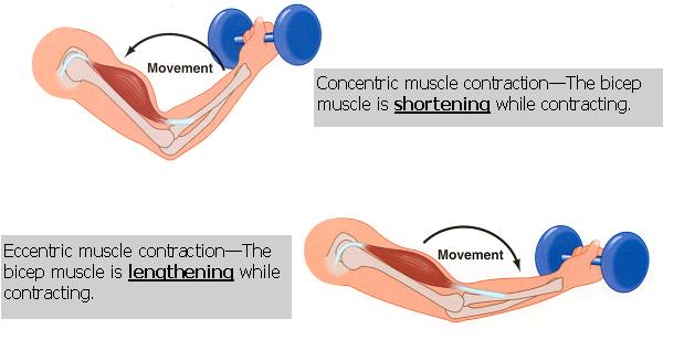 doms, delayed onset muscle soreness doms, what is doms, how to prevent muscle soreness, muscle soreness, what causes muscle soreness, delayed onset muscle soreness, how to be less sore after a workout, how to reduce muscle soreness, muscle soreness treatment, how to stop muscle soreness, delayed onset muscle soreness, relief how to cure muscle soreness, unexplained muscle soreness, delayed onset muscle soreness treatment, muscle soreness relief, what causes sore muscles, sore muscle relief, chronic muscle soreness, what causes muscle pain, muscle soreness recovery, how to help muscle soreness, extreme muscle soreness, muscle soreness symptoms, cause of muscle soreness, doms treatment, muscle soreness prevention