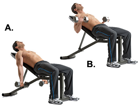 Incline Dumbbell Biceps Curls