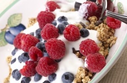 14 Plain Greek Yogurt Recipes To Shrink Your Belly & Boost Your Health