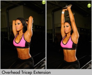 Overhead Triceps Press