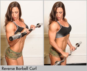 Reverse Barbell Curls