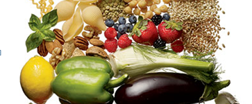 The Step-By-Step Blueprint to Six Pack Abs