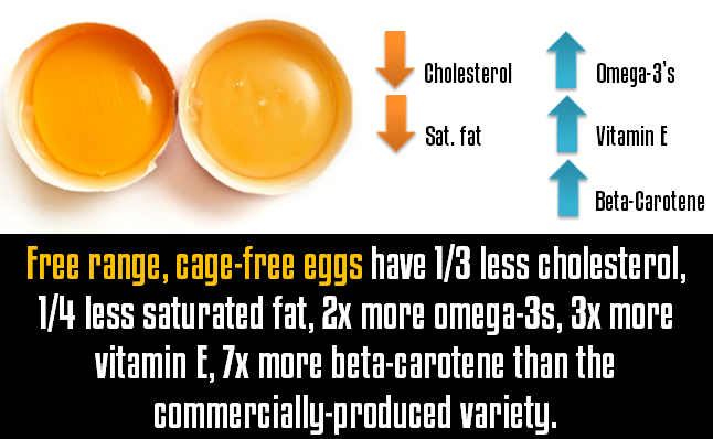 Free range, cage-free eggs have 1/3 less cholesterol, 1/4 less saturated fat, 2x more omega-3s, 3x more vitamin E, 7x more beta-carotene than the commercially-produced variety Free range, cage-free eggs have 1/3 less cholesterol, 1/4 less saturated fat, 2x more omega-3s, 3x more vitamin E, 7x more beta-carotene than the commercially-produced variety