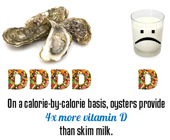 On a calorie-by-calorie basis, oysters provide 4x more vitamin D than skim milk. On a calorie-by-calorie basis, oysters provide 4x more vitamin D than skim milk.