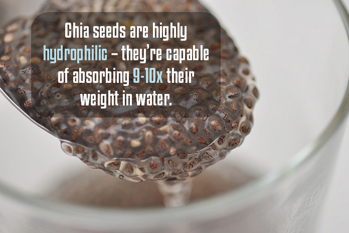 Chia seeds are highly hydrophilic – they’re capable of absorbing 9-10x their weight in water. Chia seeds are highly hydrophilic – they’re capable of absorbing 9-10x their weight in water.