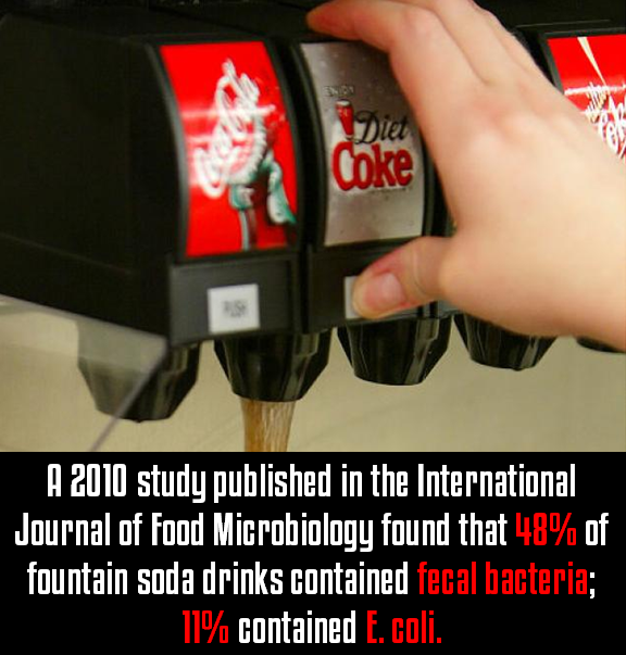A 2010 study published in the International Journal of Food Microbiology found that 48% of fountain soda drinks contained fecal bacteria; 11% contained E. coli A 2010 study published in the International Journal of Food Microbiology found that 48% of fountain soda drinks contained fecal bacteria; 11% contained E. coli