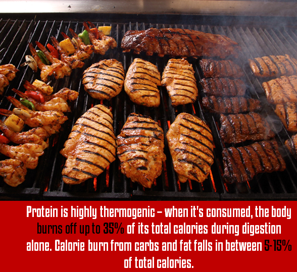 Protein is highly thermogenic – when it's consumed, the body burns off up to 35% of its total calories during digestion alone. Calorie burn from carbs and fat falls in between 5-15% of total calories Protein is highly thermogenic – when it's consumed, the body burns off up to 35% of its total calories during digestion alone. Calorie burn from carbs and fat falls in between 5-15% of total calories