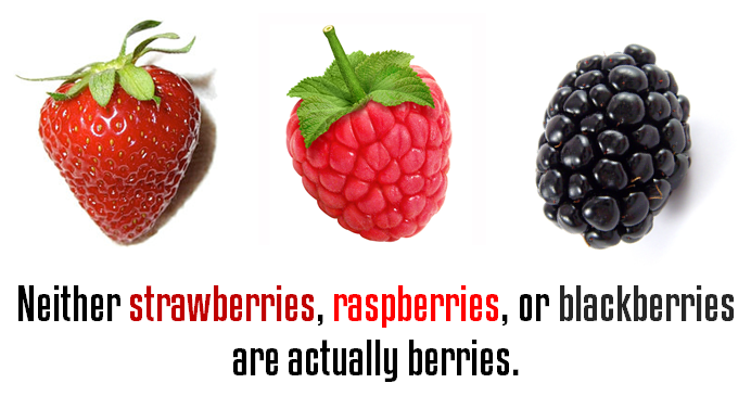 Neither strawberries, raspberries, or blackberries are actually berries Neither strawberries, raspberries, or blackberries are actually berries