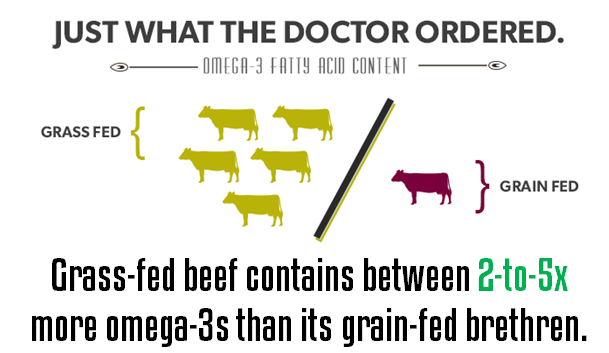 Grass-fed beef contains between 2-to-5x more omega-3s than its grain-fed brethren Grass-fed beef contains between 2-to-5x more omega-3s than its grain-fed brethren