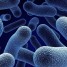 [Review] Dumbing Down The Mind-Numbing World Of Probiotics; The Complete Probiotic Buyer’s Guide
