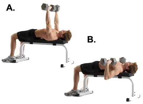 Flat Dumbbell Chest Press Flat Dumbbell Chest Press