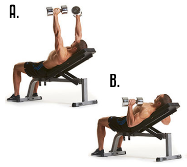 Incline Dumbbell Chest Press