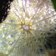 The Step-By-Step Blueprint to Six Pack Abs