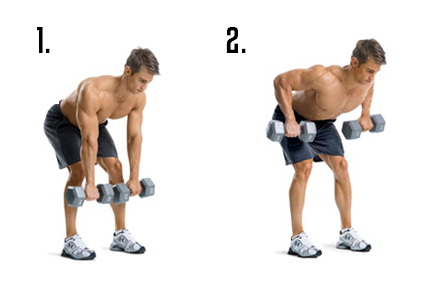 Bent Over Dumbbell Rows