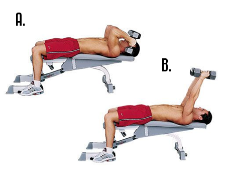 Lying Dumbbell Triceps Extensions Lying Dumbbell Triceps Extensions