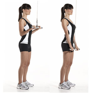 Cable Triceps Pulldown Cable Triceps Pulldown