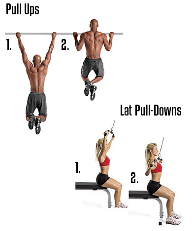 Pull Ups or Lat Pull-Downs Pull Ups or Lat Pull-Downs