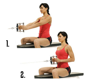 Horizontal Seated Cable Row Horizontal Seated Cable Row