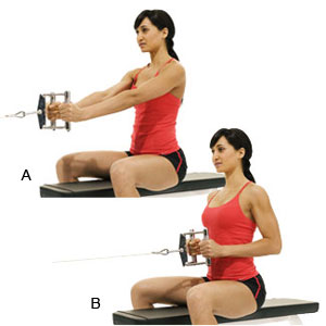 Narrow Grip Seated Cable Rows, back exercises, best back exercises, best back exercises to build muscle, best lat exercises, best teres exercises, best rhomboid exercises, best trap exercises, best trapezius exercises, best lower back exercise, erector spinae exercises, teres exercises, rhomboids, rhomboid exercises, lat exercises