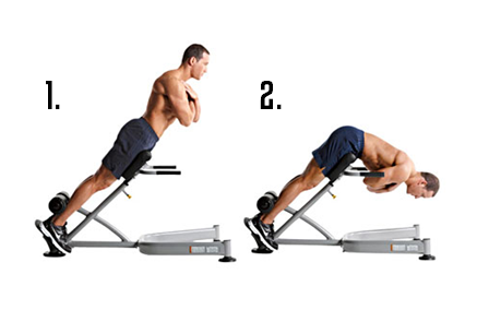 Weighted Back Extensions, back exercises, best back exercises, best back exercises to build muscle, best lat exercises, best teres exercises, best rhomboid exercises, best trap exercises, best trapezius exercises, best lower back exercise, erector spinae exercises, teres exercises, rhomboids, rhomboid exercises, lat exercises