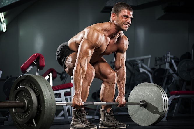 arms workout, arm workout, triceps workout, biceps workout, arm workouts, arm workout for women, big arms workout, arm workouts for women, best arm workouts, best arm workout, forearm workouts, tricep workout, biceps and triceps workout, bicep workouts, bicep workout, arm workout routine, workout routine, workout routine for men, tricep workout routine 