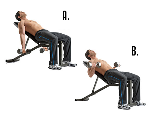 arms workout, arm workout, triceps workout, biceps workout, arm workouts, arm workout for women, big arms workout, arm workouts for women, best arm workouts, best arm workout, forearm workouts, tricep workout, biceps and triceps workout, bicep workouts, bicep workout, arm workout routine, workout routine, workout routine for men, tricep workout routine 
