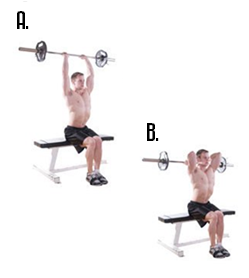 arms workout, arm workout, triceps workout, biceps workout, arm workouts, arm workout for women, big arms workout, arm workouts for women, best arm workouts, best arm workout, forearm workouts, tricep workout, biceps and triceps workout, bicep workouts, bicep workout, arm workout routine, workout routine, workout routine for men, tricep workout routine 