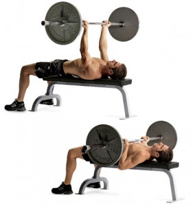 arms workout, arm workout, triceps workout, biceps workout, arm workouts, arm workout for women, big arms workout, arm workouts for women, best arm workouts, best arm workout, forearm workouts, tricep workout, biceps and triceps workout, bicep workouts, bicep workout, arm workout routine, workout routine, workout routine for men, tricep workout routine 