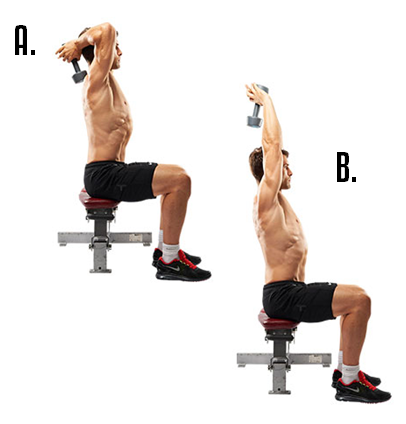 arms workout, arm workout, triceps workout, biceps workout, arm workouts, arm workout for women, big arms workout, arm workouts for women, best arm workouts, best arm workout, forearm workouts, tricep workout, biceps and triceps workout, bicep workouts, bicep workout, arm workout routine, workout routine, workout routine for men, tricep workout routine 