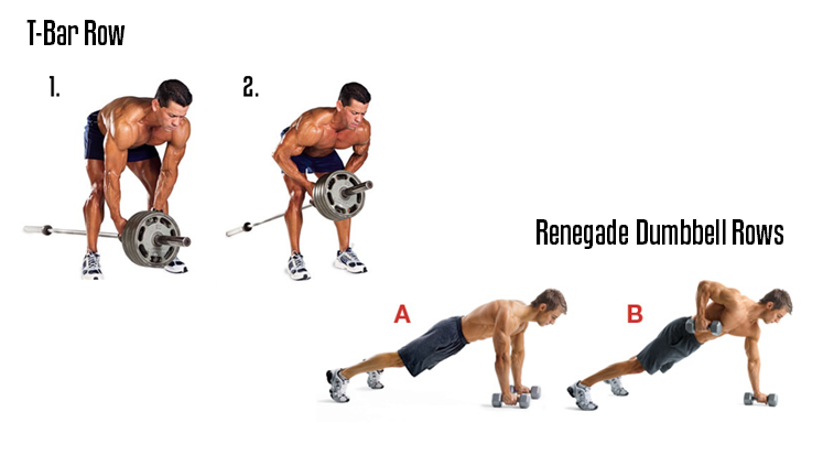 T-Bar Row & Renegade Dumbbell Rows T-Bar Row & Renegade Dumbbell Rows