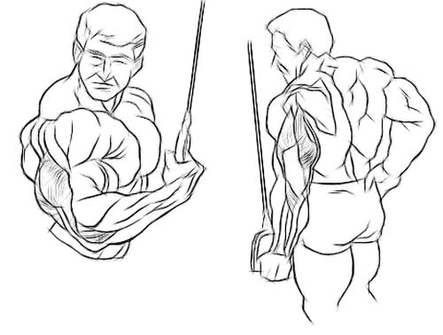 best triceps exercises, triceps exercises, reverse one arm cable triceps extension, reverse triceps extension, cable triceps extension