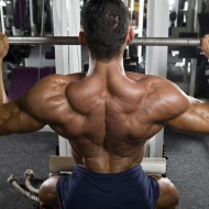 Chobani-Covered Frozen Blueberries