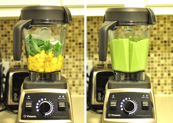 vitamix, vitamix blender, blender, best blender, high speed blender, vitamix review, should I buy a vitamix, vitamix reviews, best blender for smoothies, vita mix blender, blenders, vita mix, vitamix juicer, vitamix 5200, vitamix blenders, smoothie blenders