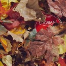 The Monday Shuttle (9/8) — Fitness & Nutrition News, Happenings, And Other Cool Things From Around The Web