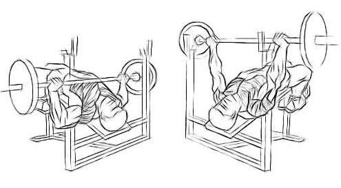 decline bench press, chest exercises, best chest exercises, chest workout, best chest workout, best exercises to build the chest, exercises for inner chest, exercises for lower chest, exercises for upper chest, upper chest exercises, lower chest exercises, inner chest exercises, best pec exercises, pecs, chest, chest exercise, dumbbell chest exercises, pec workouts, chest exercises for men, pec exercises, chest exercises for women, good chest workouts