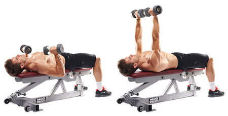 dumbbell chest press, 2015 workout plan, 2015 workout routine, 2015 workout program, 2015 workout, workout, workout plan, workout program, workout schedule, full body workout program, full body workout split, workout spit, workout programs, workout plans, full body workout routine