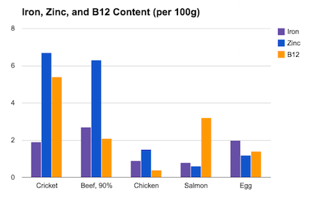 cricket protein, cricket nutrition, cricket protein bars, cricket flour, cricket bar, cricket protein powder, exo cricket bars, exo cricket, exo, cricket food, cricket sustainability,